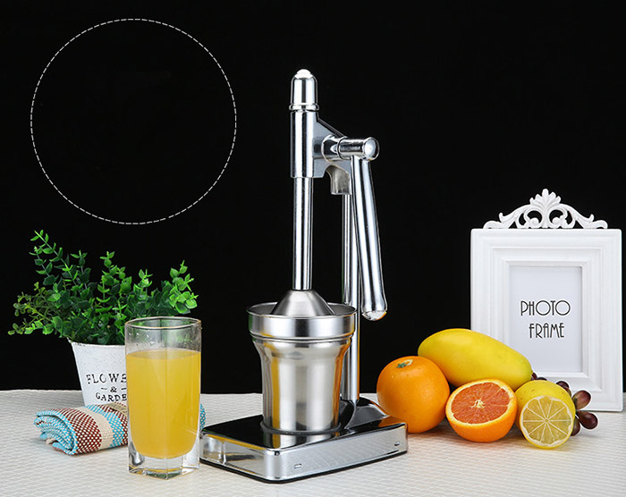 LD322 fruit juicer.jpg