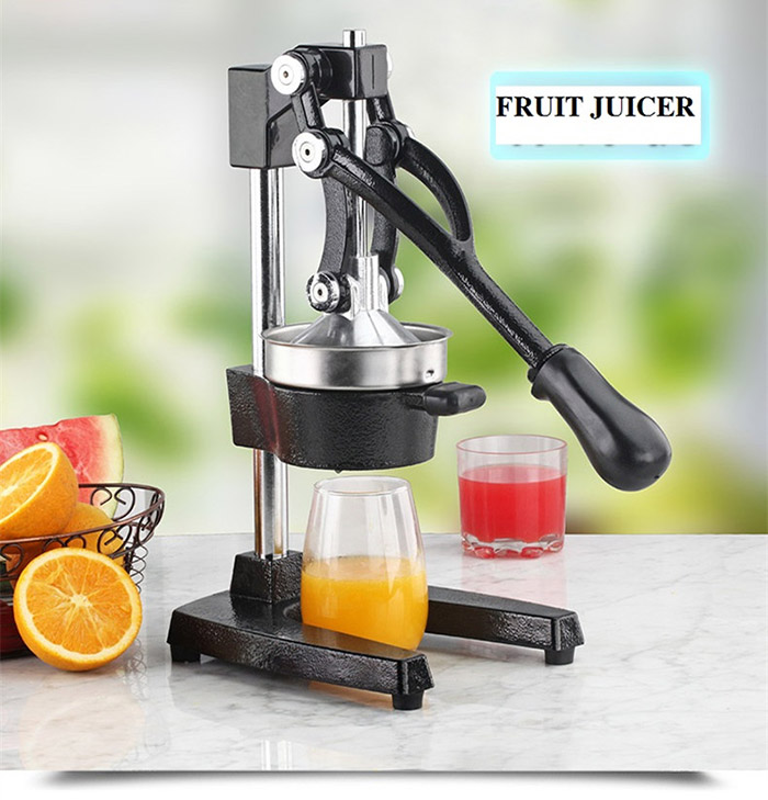 LD323 fruit juicer